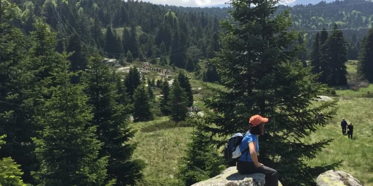 Uită de dental în Antalya: De ce pacienții internaționali aleg Bursa pentru tratamente dentare