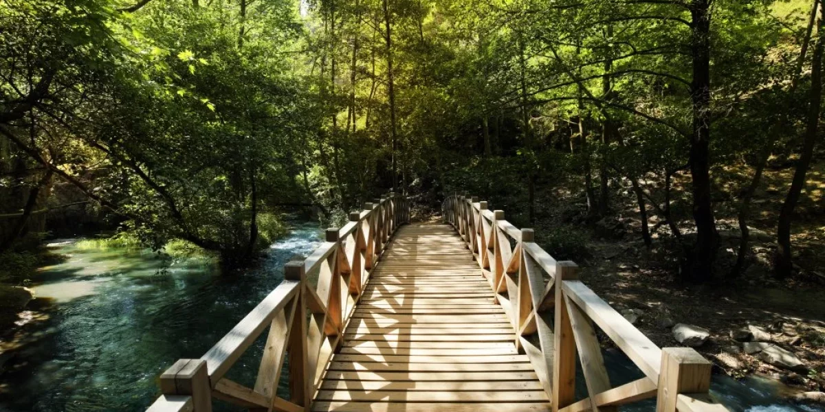 Pachete dentare pentru întreaga gură în Turcia: Turism dentar de lux la prețuri accesibile în Bursa